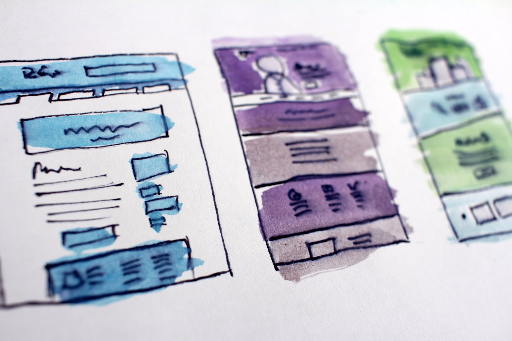 Web Design & Development